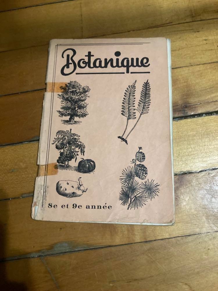 livre vintage 