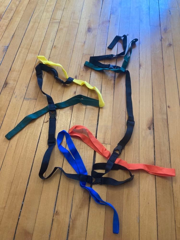 Serpentin de marche (corde de promeneur)  pour 10 enfants 15$